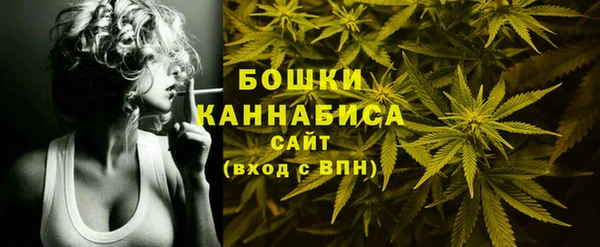 МДПВ Дмитров