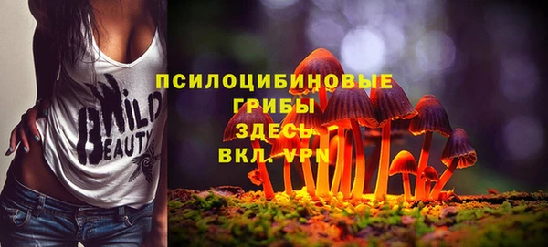 эйфоретик Дмитриев