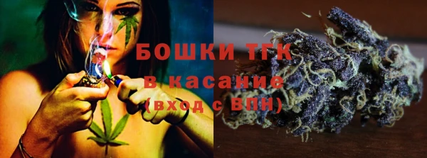 эйфоретик Дмитриев